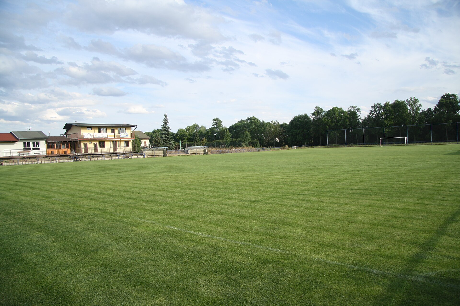 A grass football pitch seen from one corner, with goals at each end and painted boundary lines.