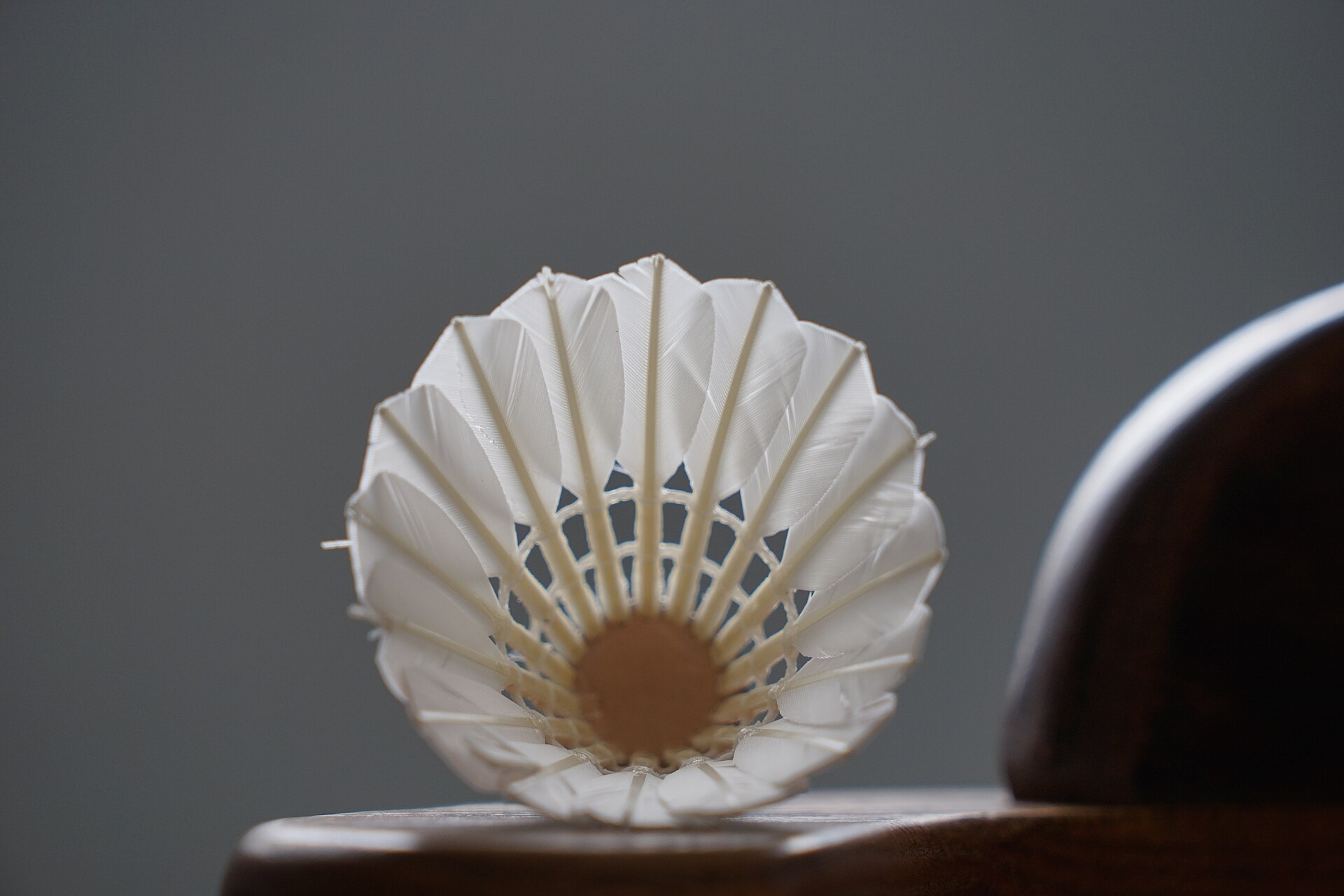 A single feathered shuttlecock resting on a dark wooden surface, photographed into the open end so the ring of overlapping feathers and their quills is visible around the pale base.